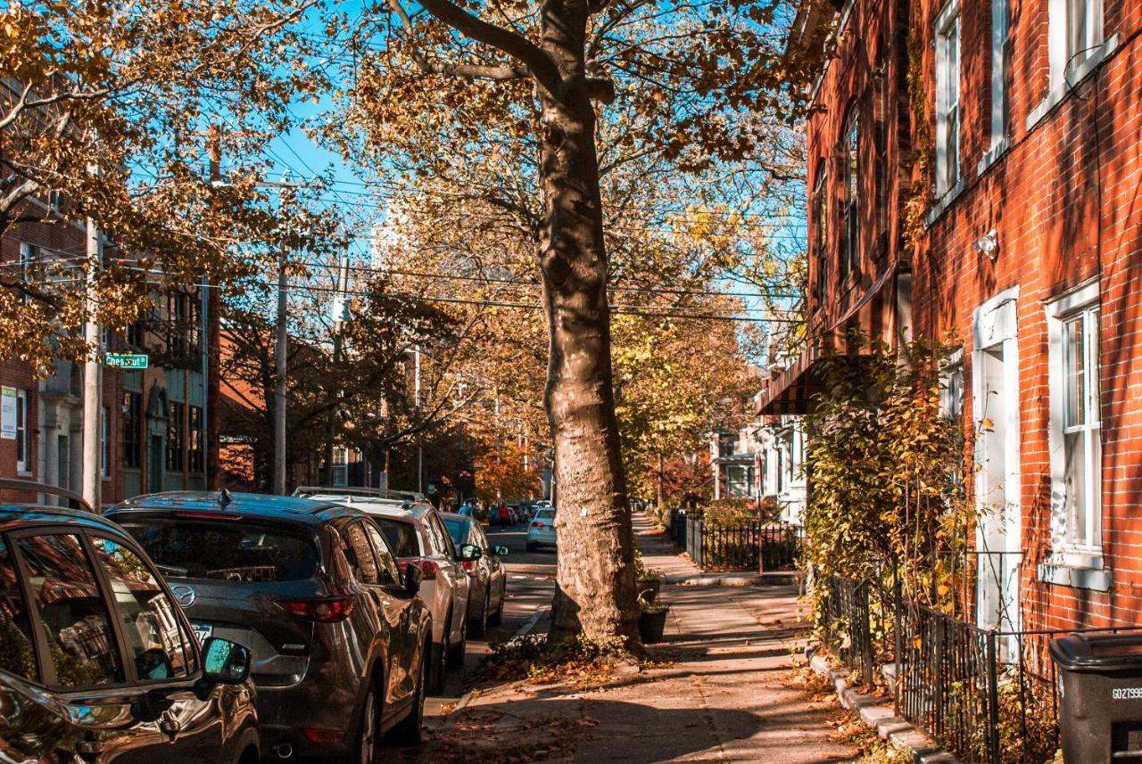 Gorgeous 1Br Wooster Sq. Apt. - Wshr/Dryr, Parking New Haven Exterior photo